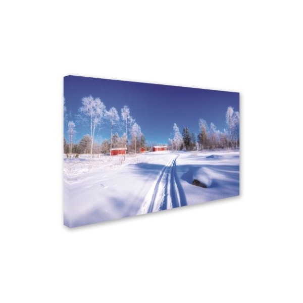 Philippe Sainte-Laudy 'Winter Finnish' Canvas Art,30x47